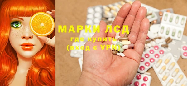 гидра Володарск