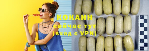 гидра Володарск