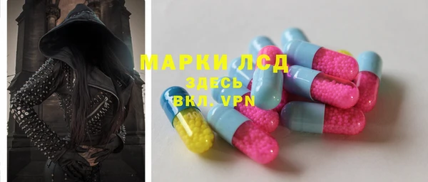 гидра Володарск