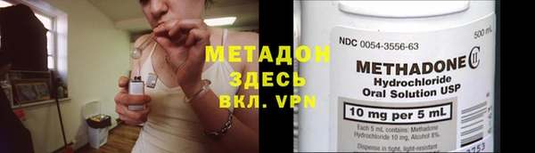 прущие грибы Вязники