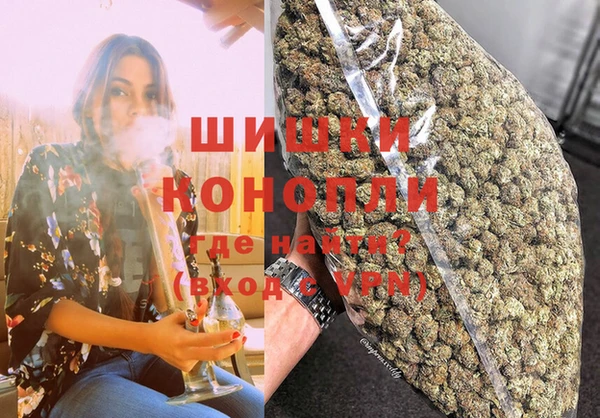 прущие грибы Вязники