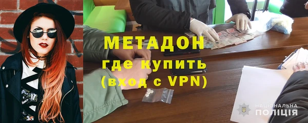 прущие грибы Вязники